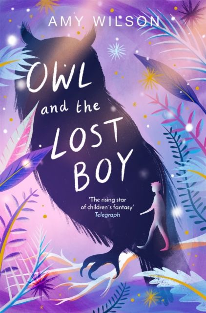 Owl and the lost boy
