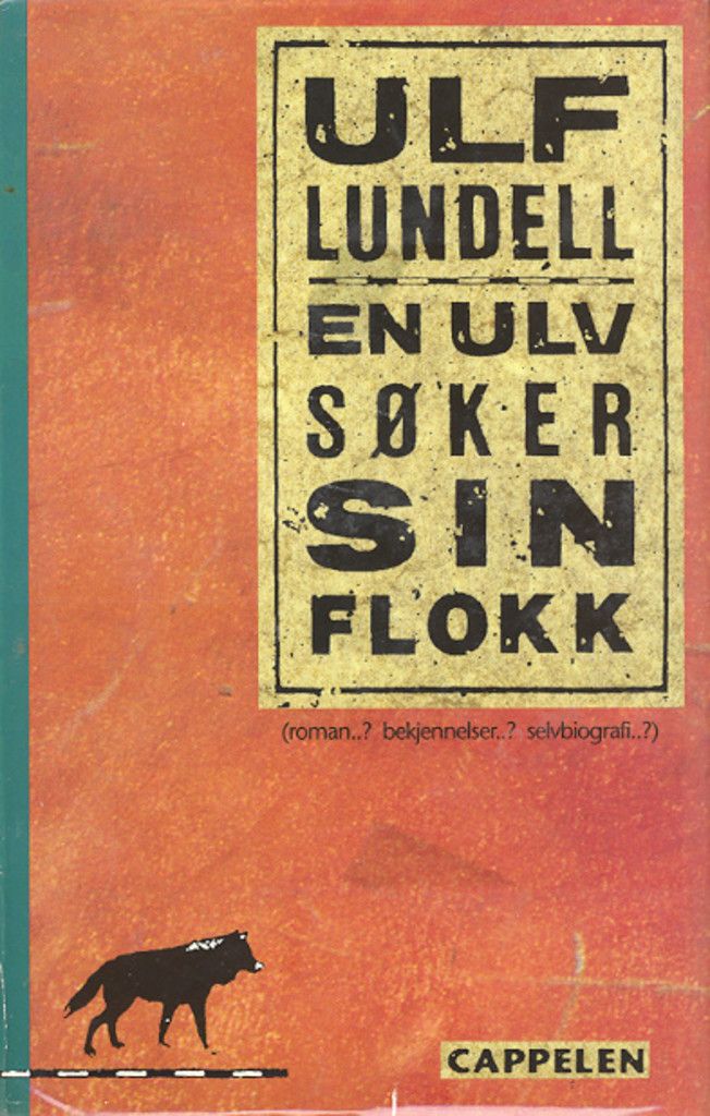 En ulv søker sin flokk