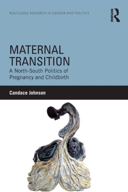 Maternal Transition : A North-South Politics of Pregnancy and Childbirth