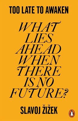 Too Late to Awaken : What Lies Ahead When There is No Future?