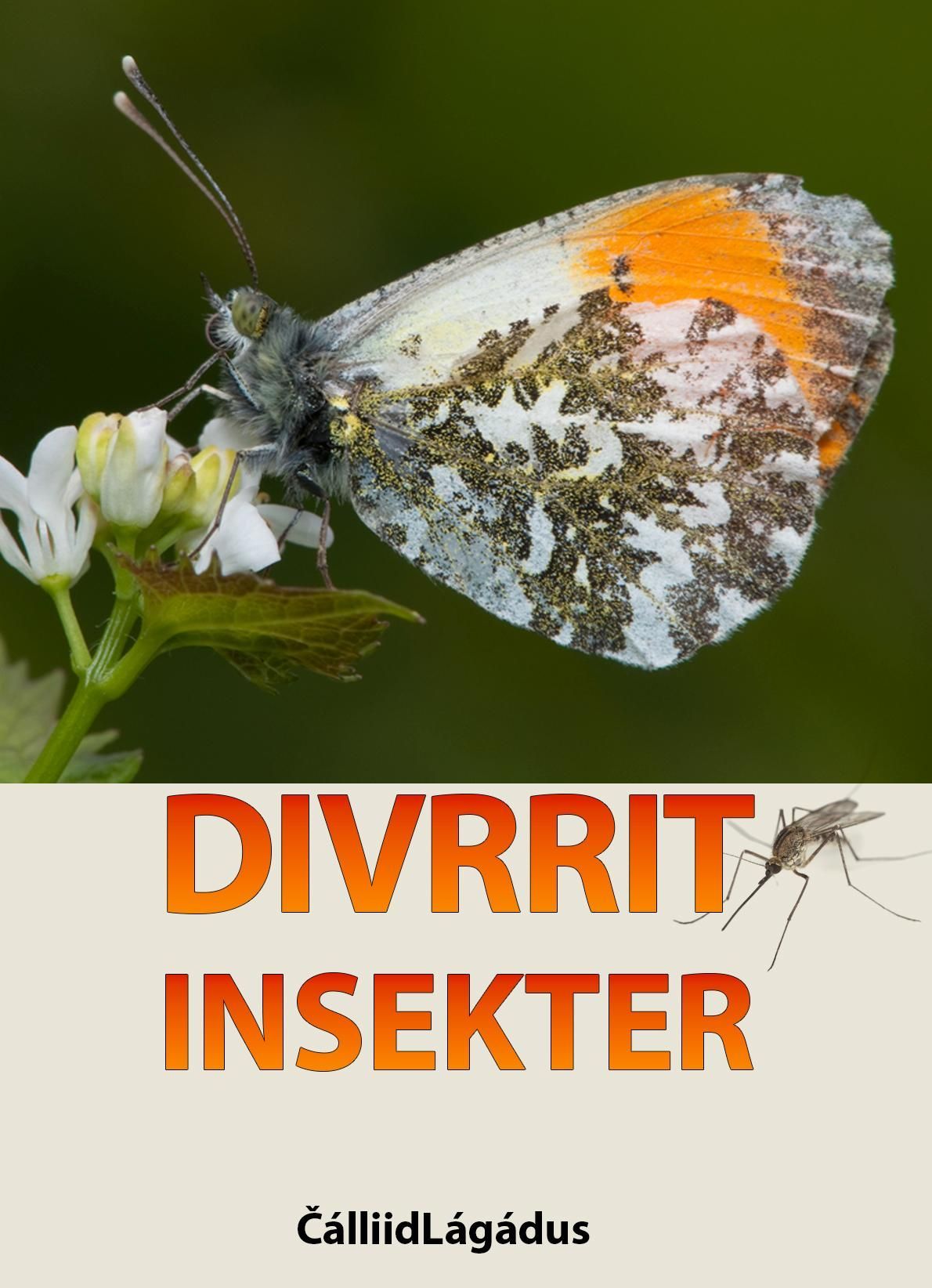 Divrrit