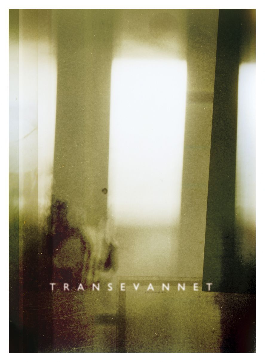 Transevannet : dikt