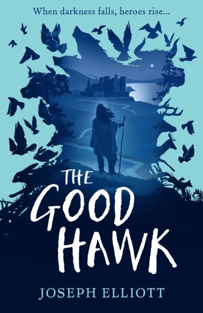 The good hawk