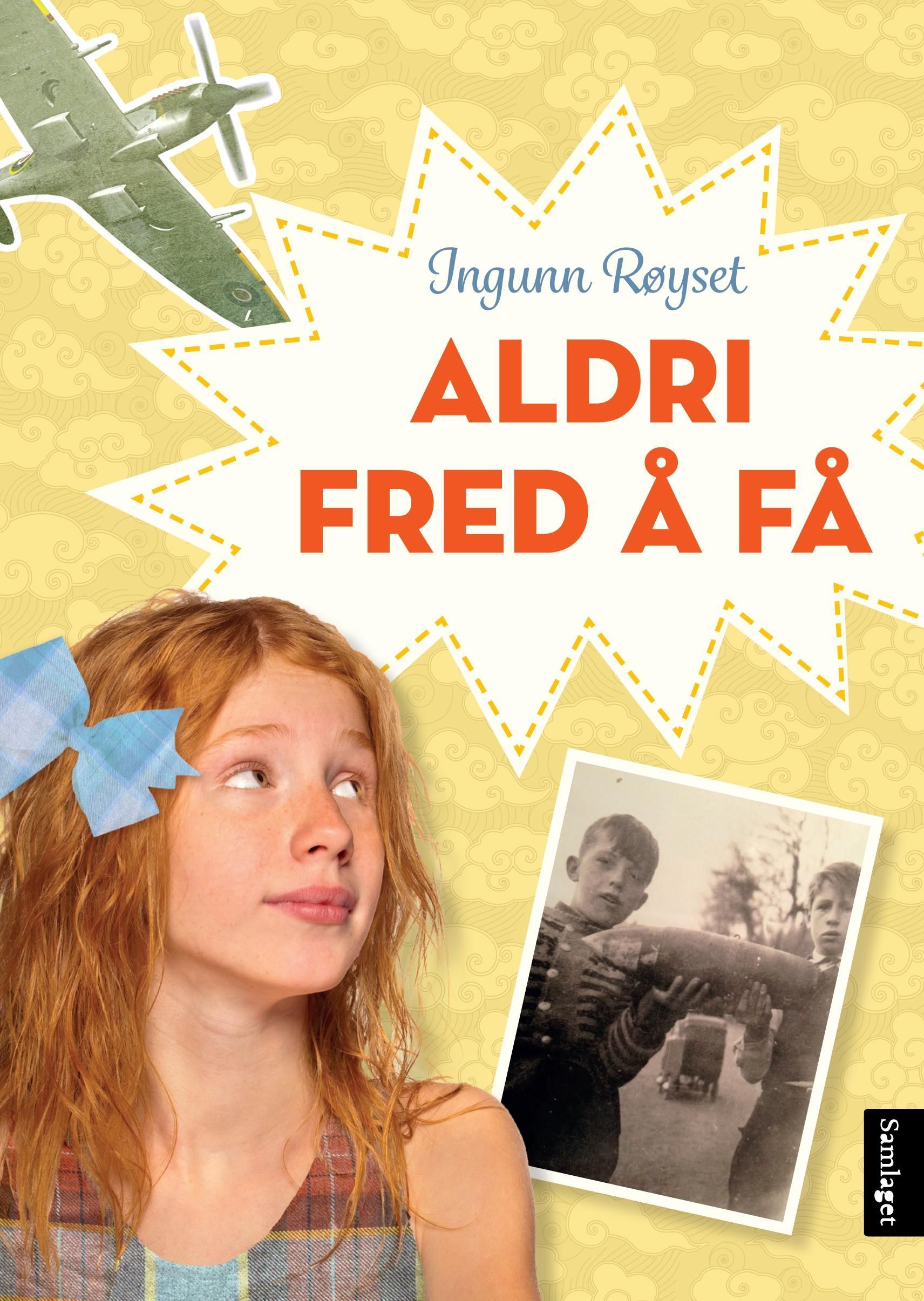 Aldri fred å få : roman