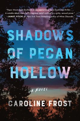 Shadows of Pecan Hollow : A Novel