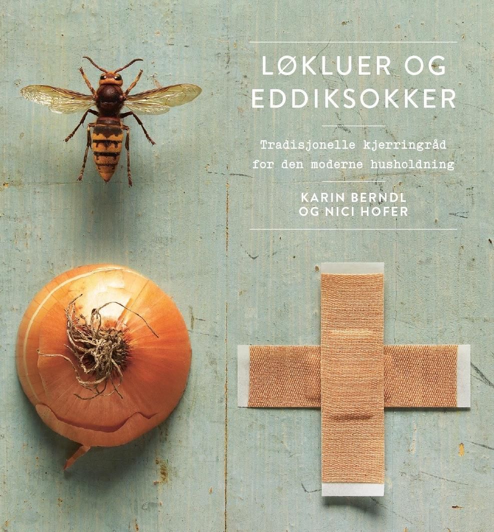 Løkluer og eddiksokker : tradisjonelle kjerringråd for den moderne husholdning