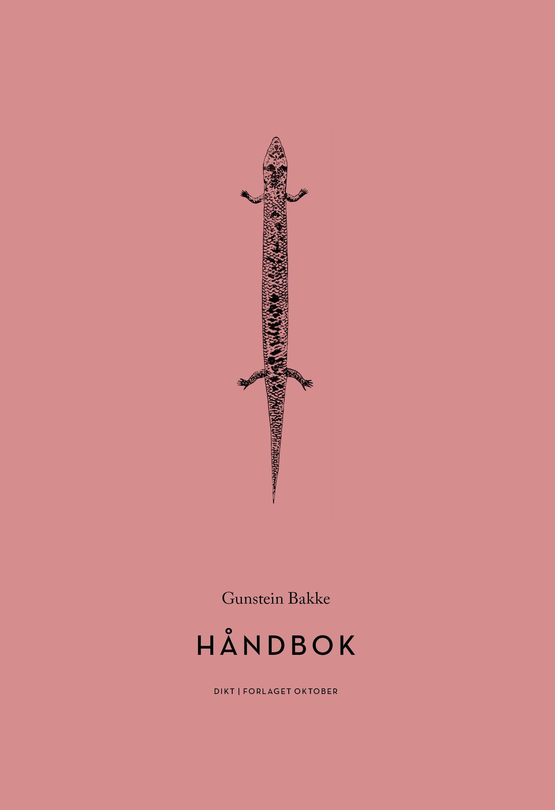 Håndbok : dikt