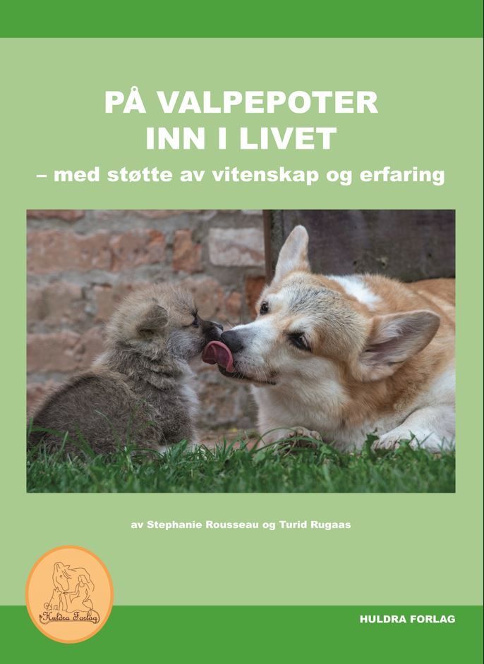 På valpepoter inn i livet : med støtte av vitenskap og erfaring