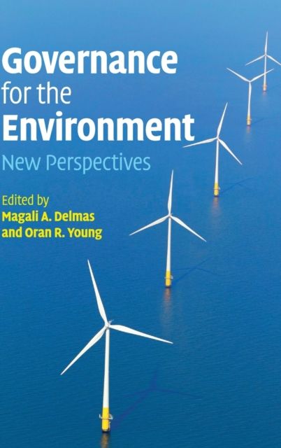 Governance for the Environment : New Perspectives
