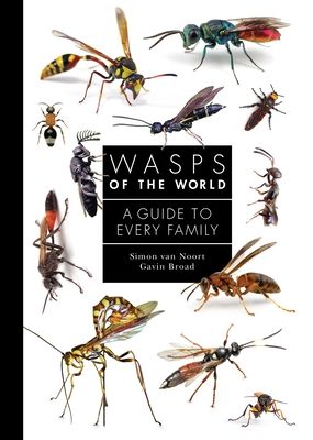 Wasps of the World : A Guide to Every Family