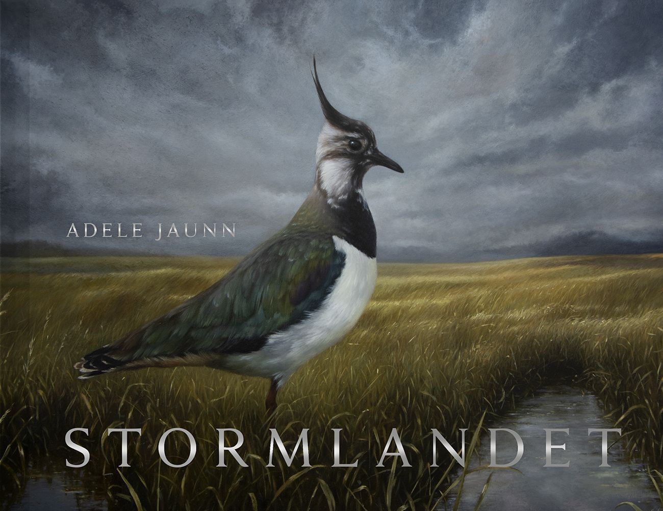 Forsidebilde av Stormlandet