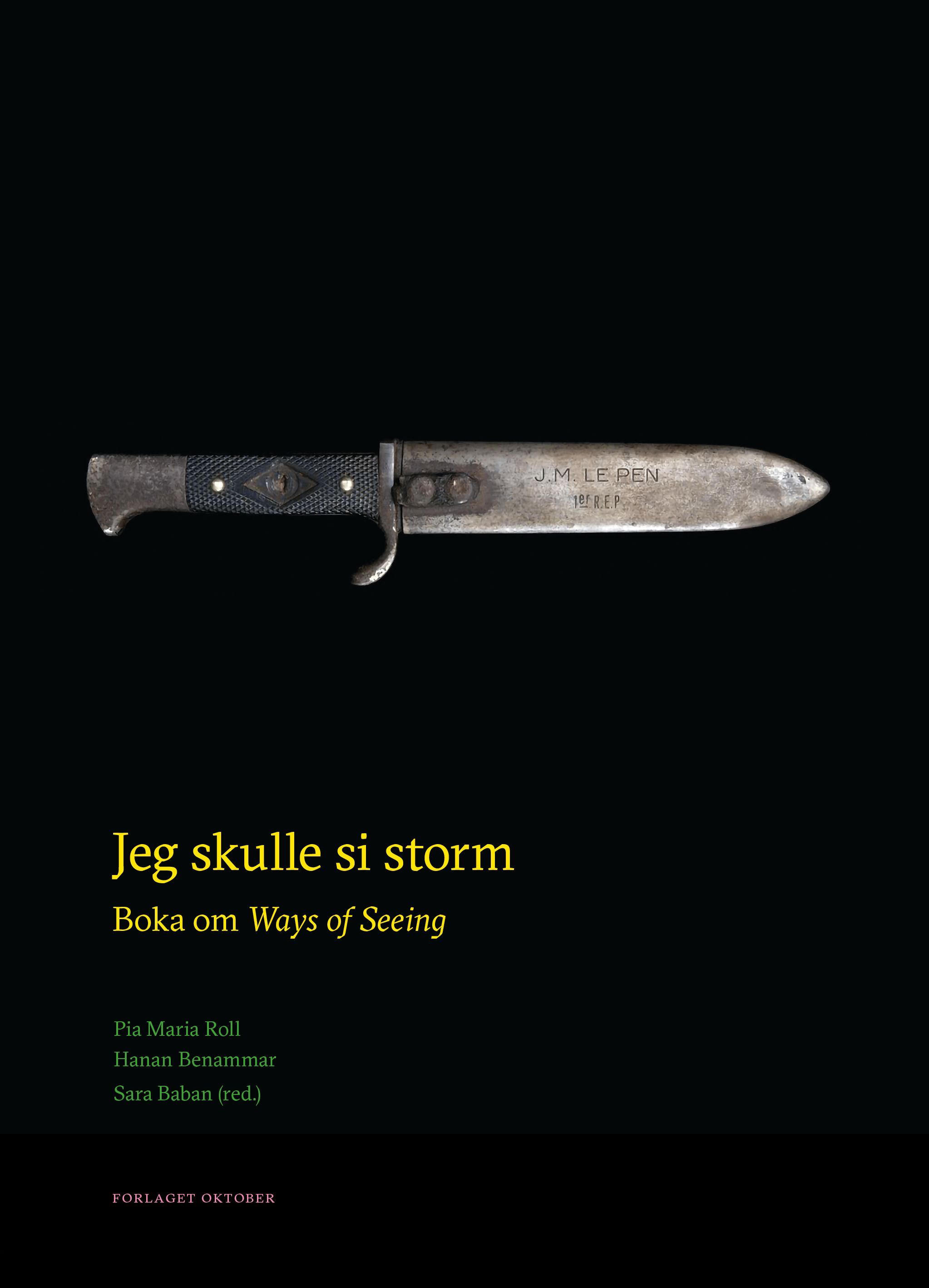 Jeg skulle si storm : boka om Ways of Seeing