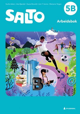 Salto 5B, 2. utg. : norsk for barnesteget. Arbeidsbok
