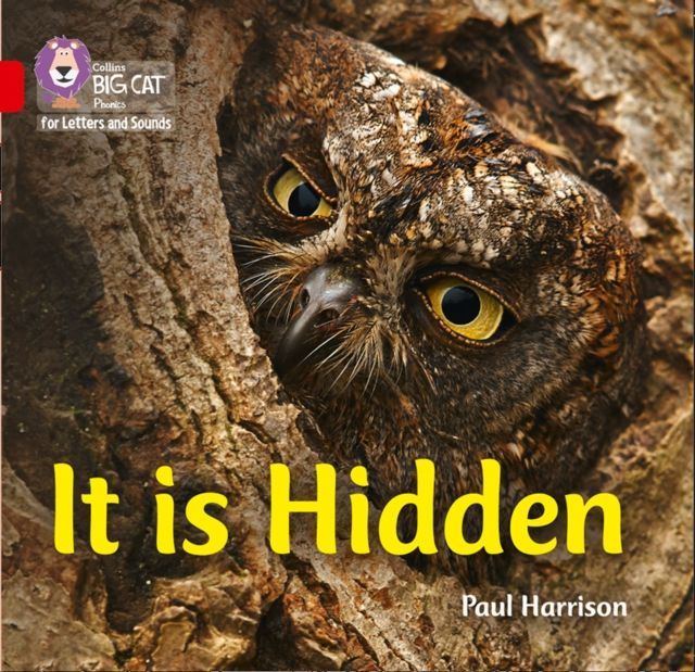 It is Hidden : Band 02b/Red B