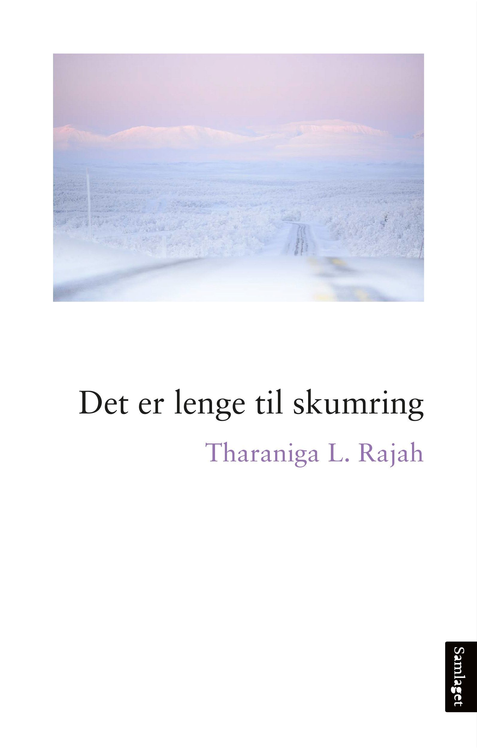 Det er lenge til skumring : roman