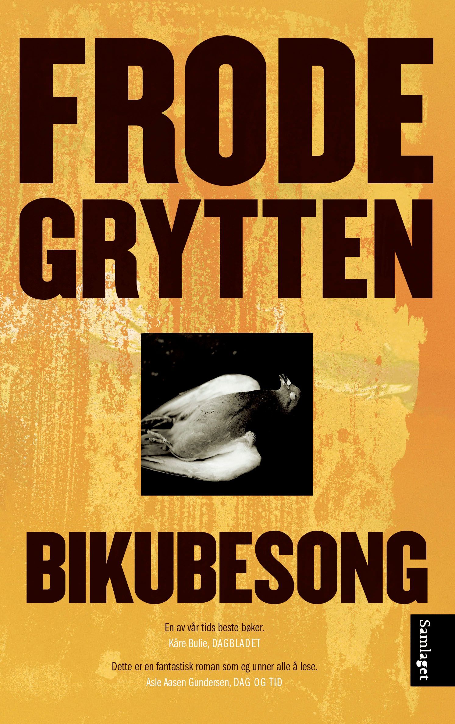 Bikubesong : roman