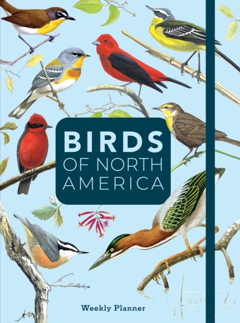 Birds of North America : Undated Weekly and Monthly Planner
