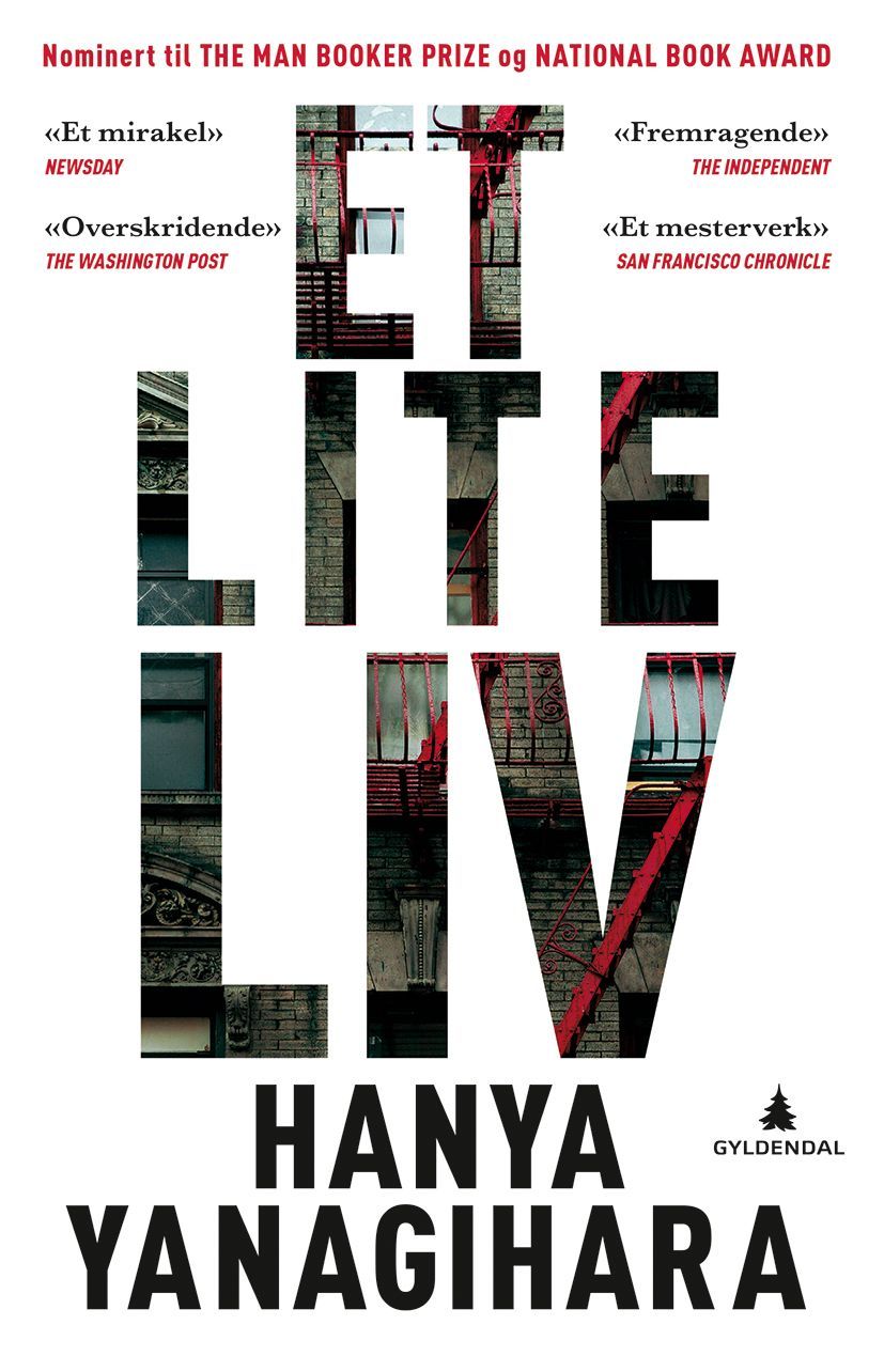 Et lite liv : roman