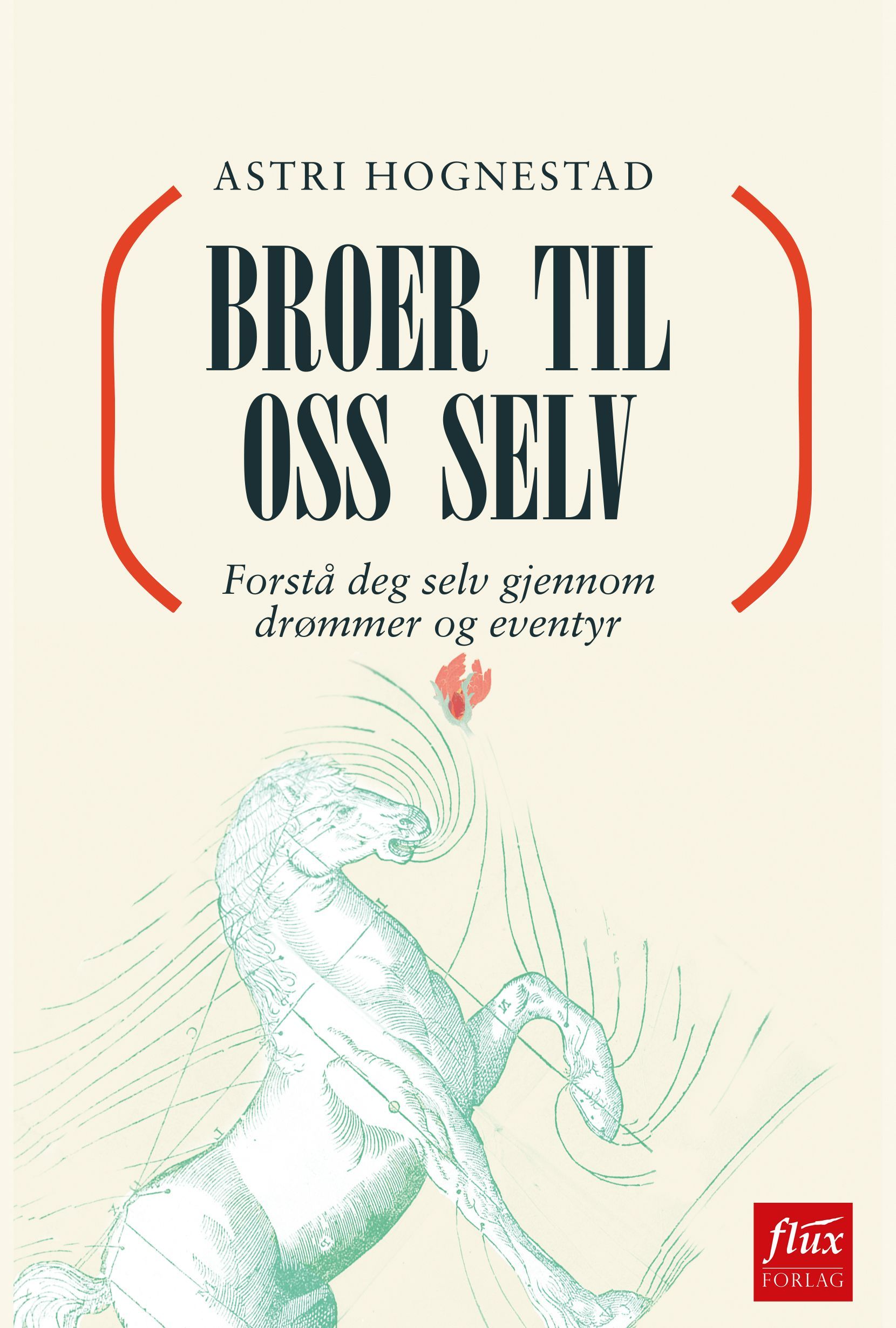 Broer til oss selv : forstå deg selv gjennom drømmer og eventyr