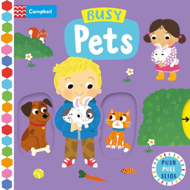 Busy Pets : A Push, Pull, Slide Book