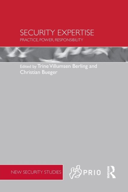 Security Expertise : Practice, Power, Responsibility