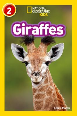 Giraffes : Level 2