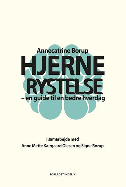 Hjernerystelse : en guide til en bedre hverdag