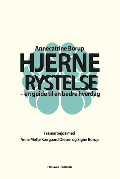 Forsidebilde av Hjernerystelse : en guide til en bedre hverdag