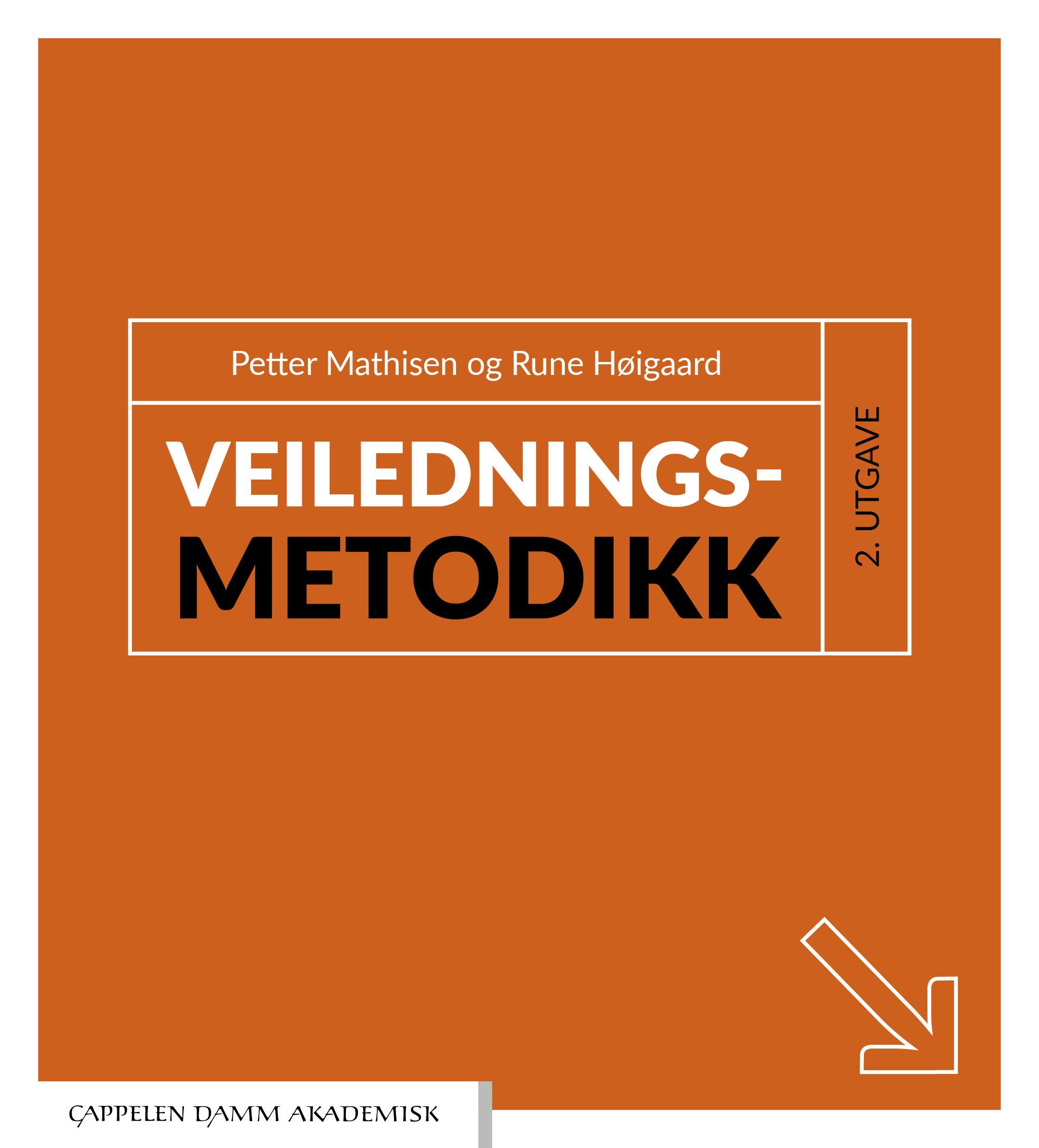 Veiledningsmetodikk
