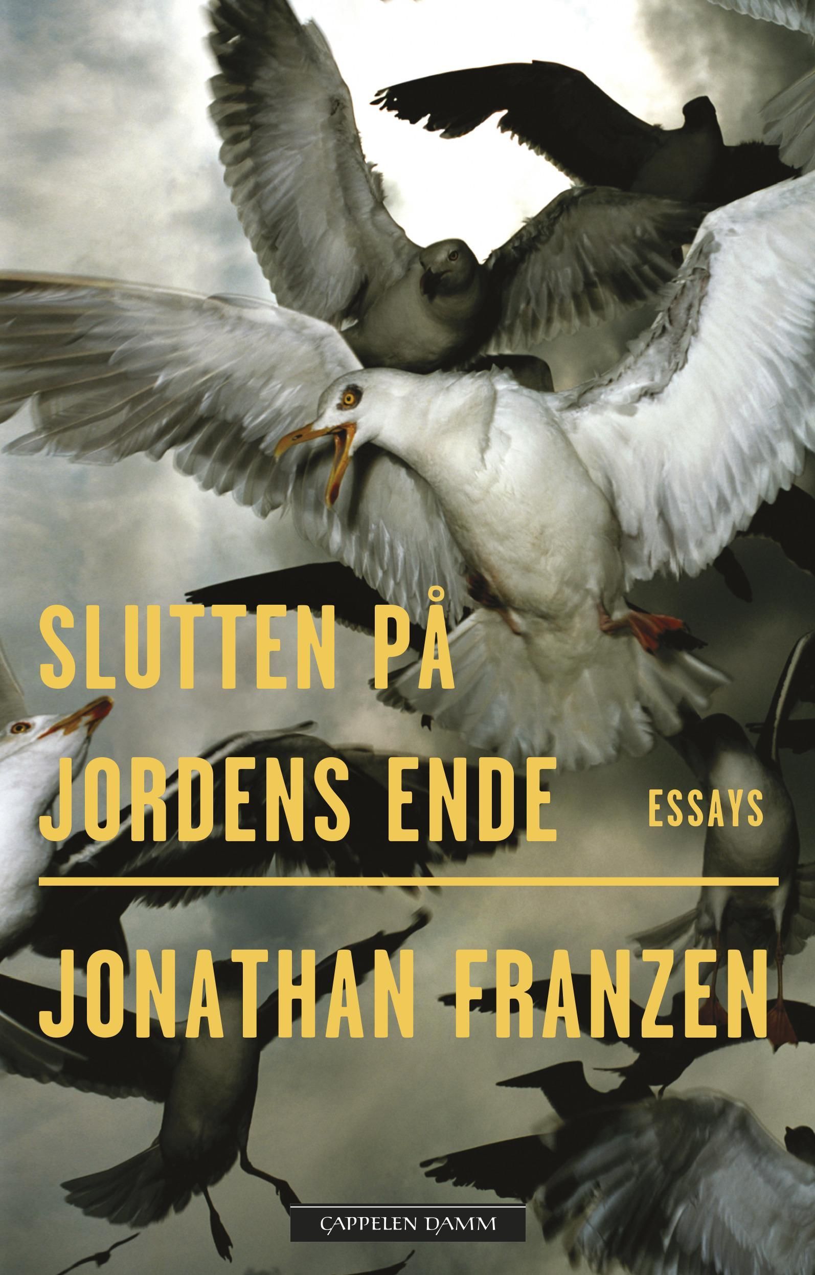 Slutten på jordens ende : essays