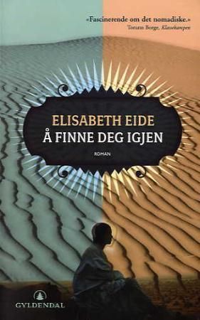 Å finne deg igjen : roman
