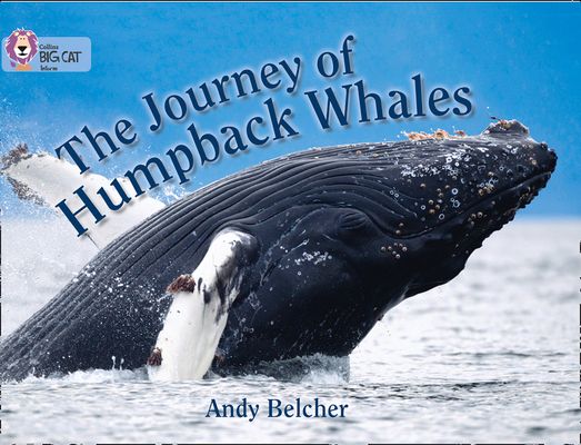 The Journey of Humpback Whales : Band 07/Turquoise