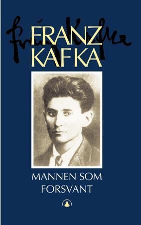 Mannen som forsvant : roman
