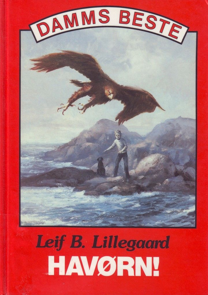 Havørn