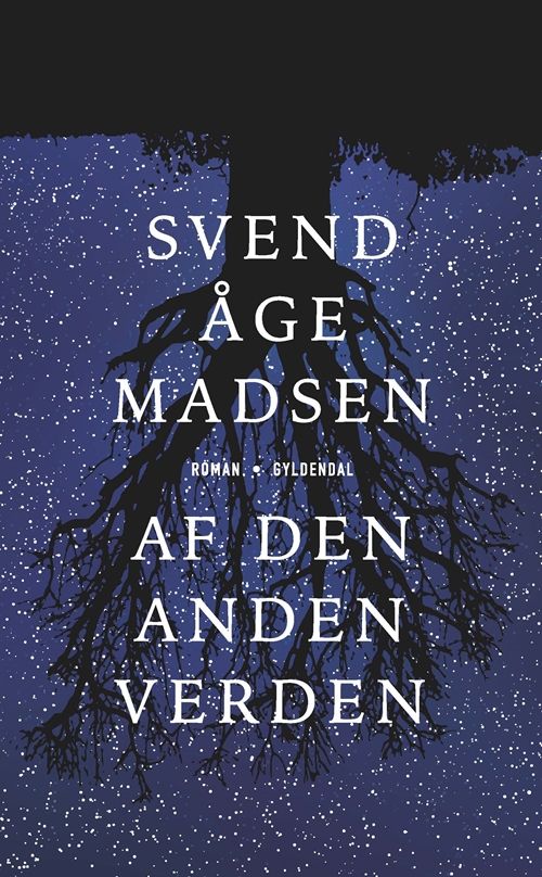Af den anden verden : roman