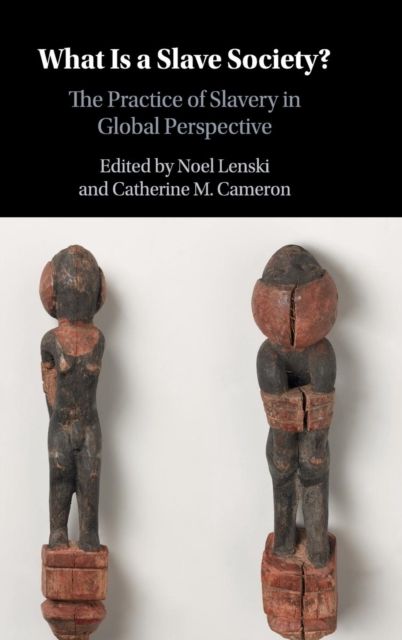 What Is a Slave Society? : The Practice of Slavery in Global Perspective