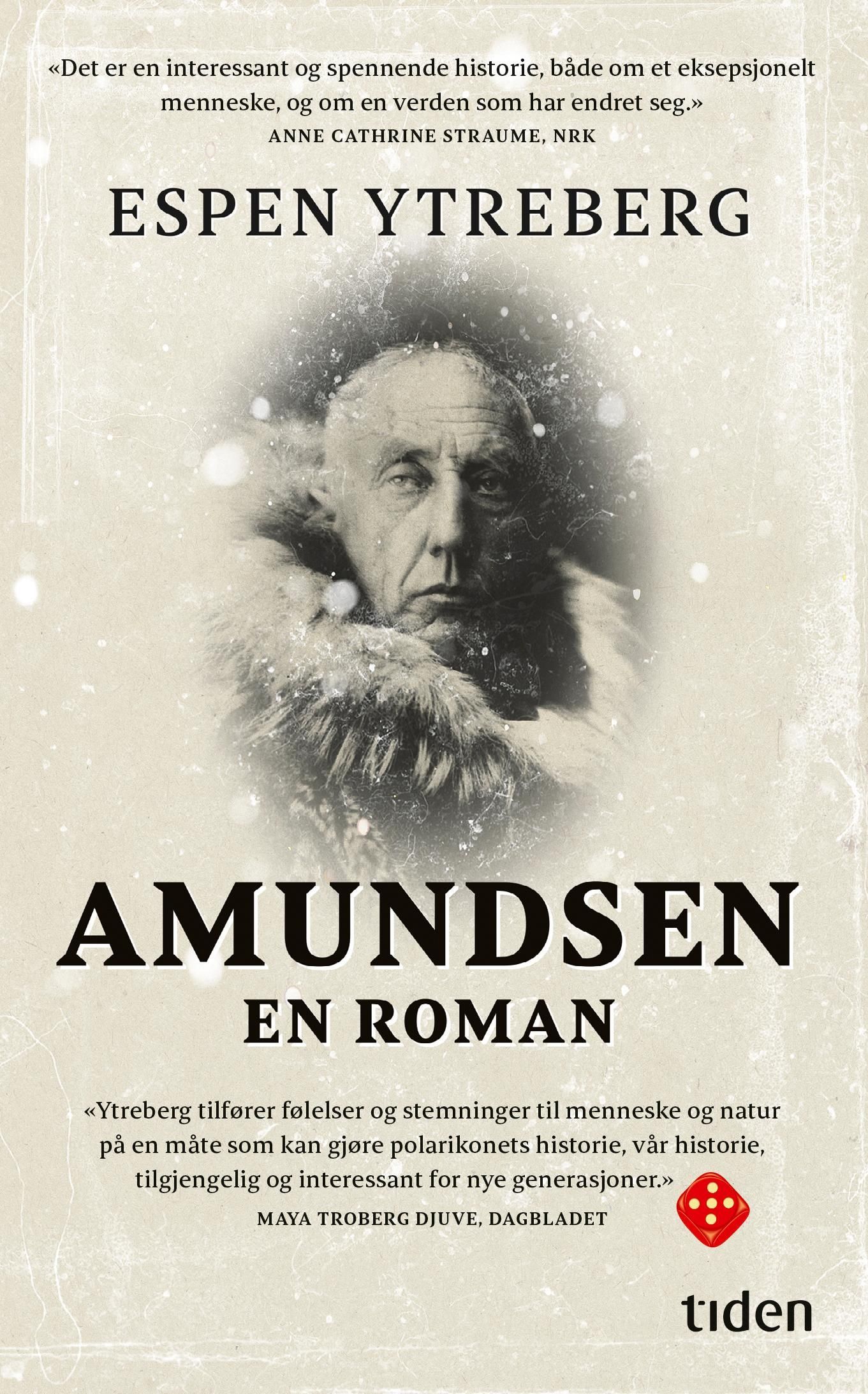 Amundsen : en roman
