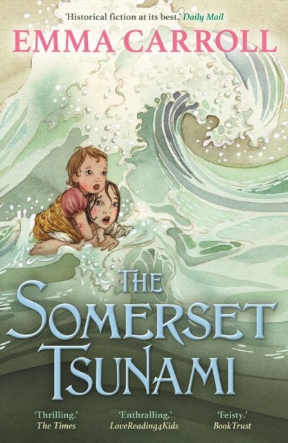 The Somerset tsunami