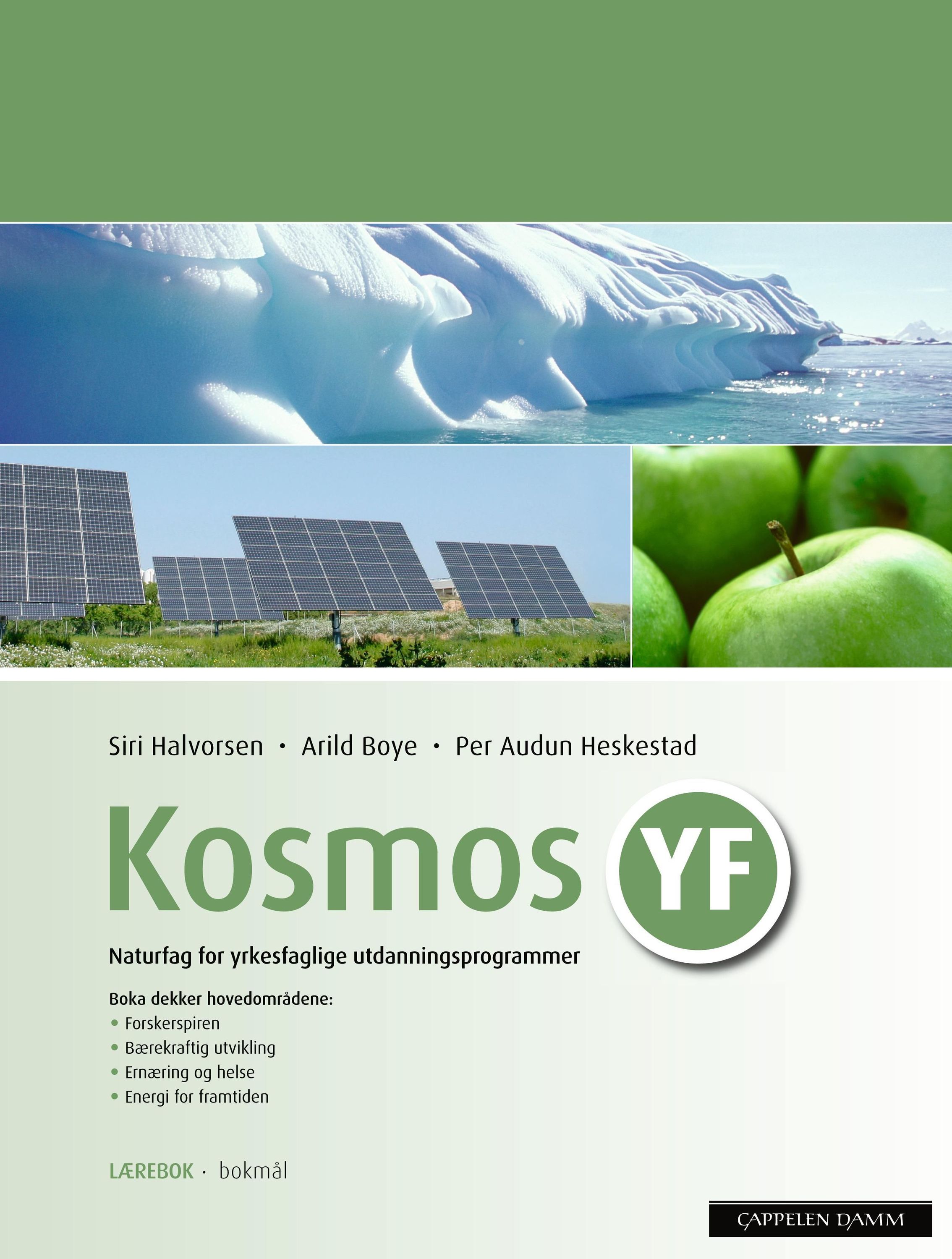 Kosmos YF : naturfag for yrkesfaglige utdanningsprogrammer