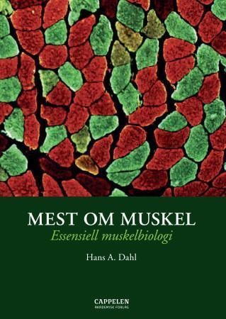 Mest om muskel : essensiell muskelbiologi