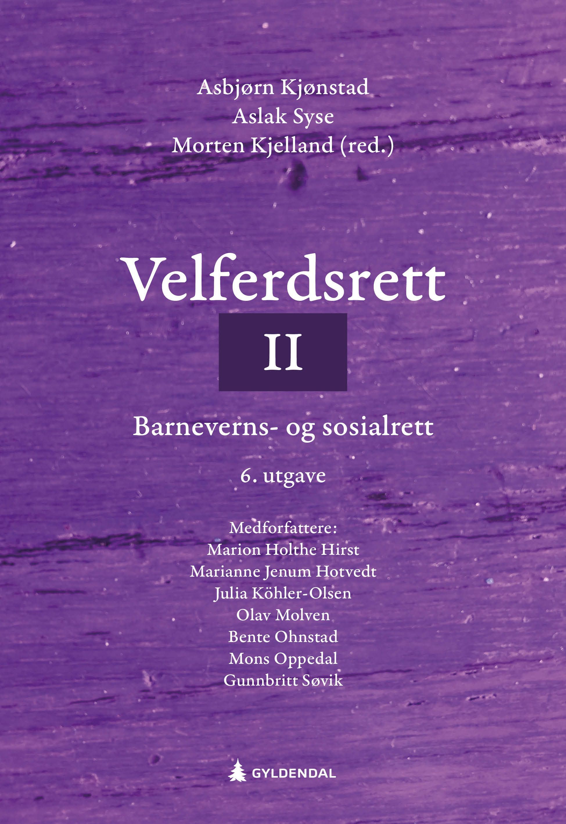 Velferdsrett. II. barneverns- og sosialrett