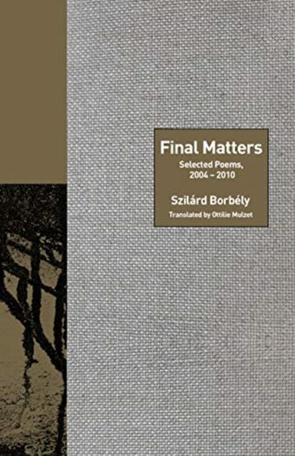 Final Matters : Selected Poems, 2004-2010