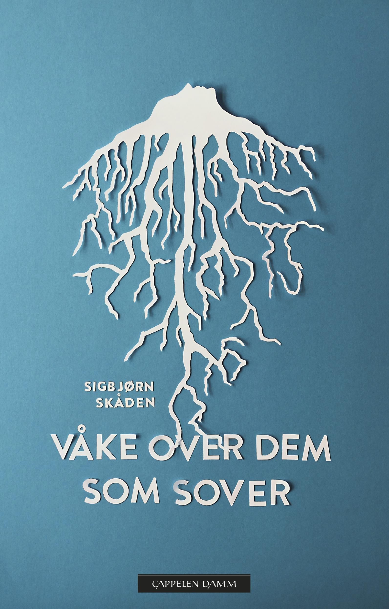 Våke over dem som sover : roman