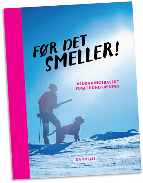 Før det smeller : belønningsbasert fuglehundtrening