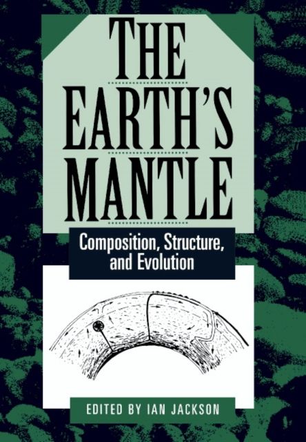 Forsidebilde av The Earth's Mantle : Composition, Structure, and Evolution