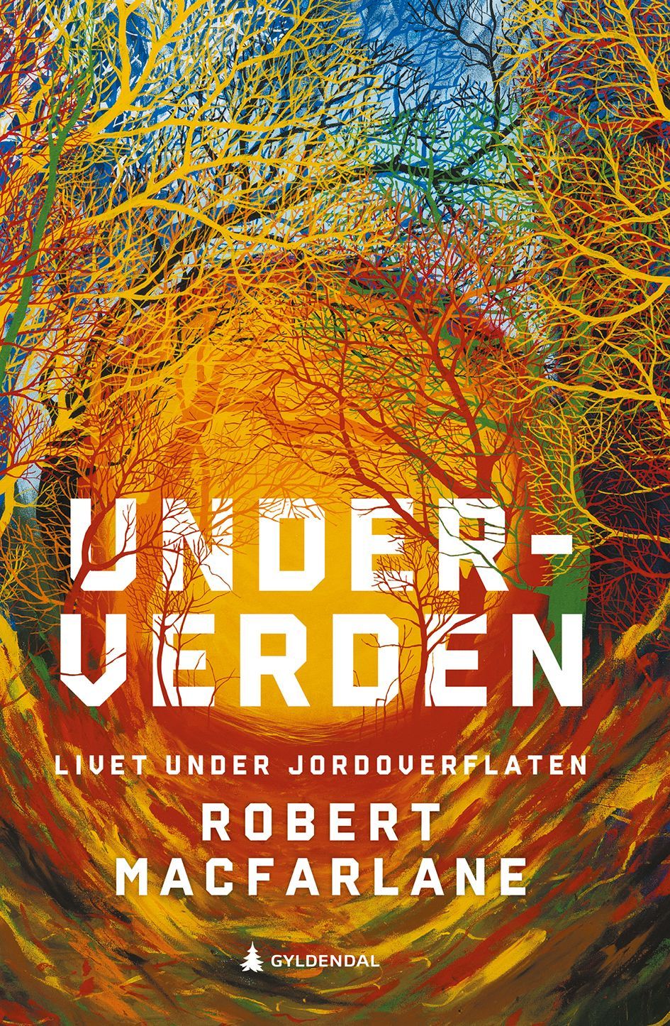 Underverden : en tidsreise under jorda
