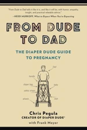 From dude to dad : the diaper dude guide to pregnancy