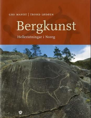 Bergkunst : helleristningar i Noreg