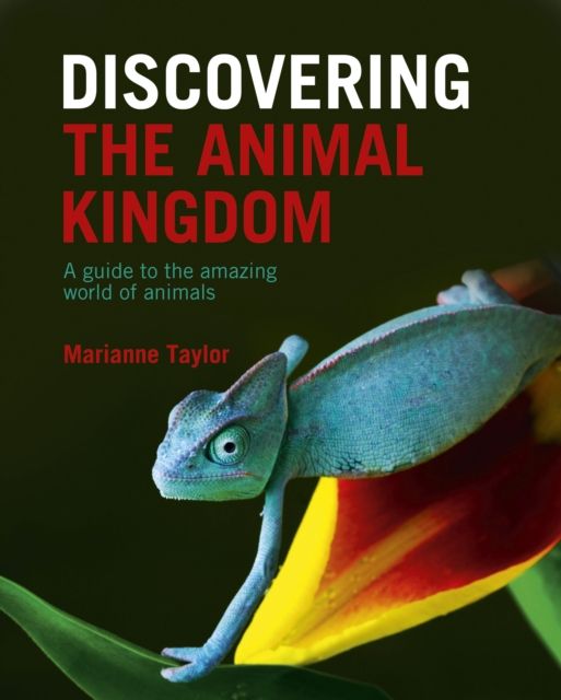 Discovering The Animal Kingdom : A guide to the amazing world of animals