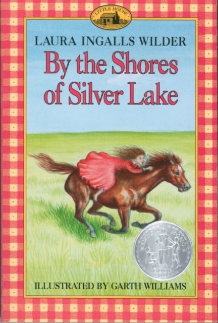 By the shores of Silver Lake